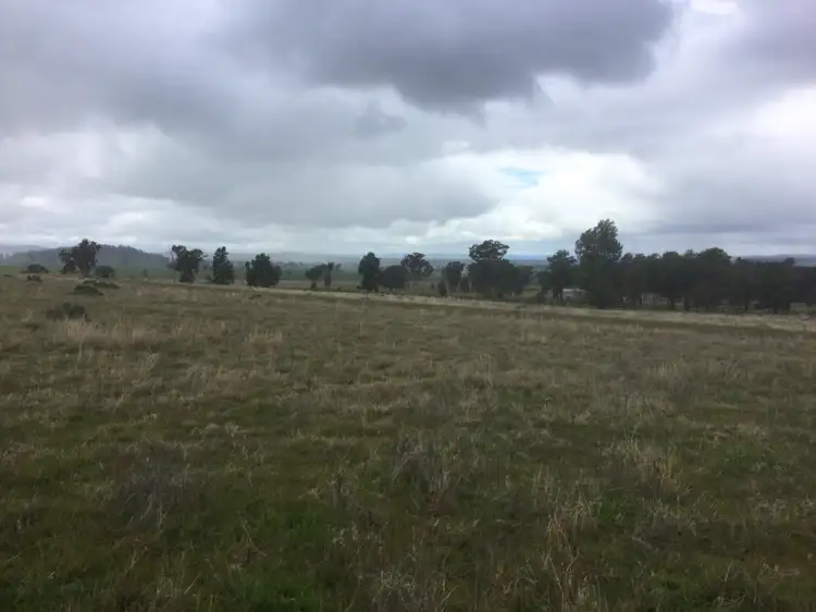 Fifth view of Homely rural property listing, - 'Box Field Park' Loch Lomond Road, Gooloogong NSW 2805