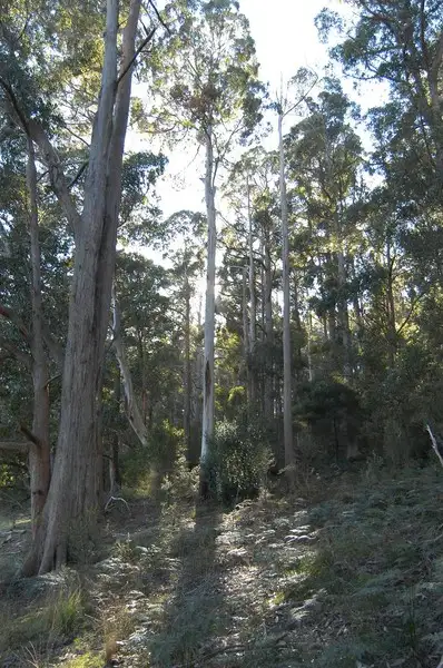Fifth view of Homely house listing, 118 Isandula Road, Gawler TAS 7315