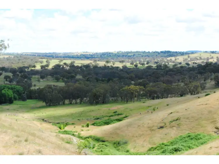 Fourth view of Homely rural property listing, 5553 Burrendong Way, Stuart Town NSW 2820
