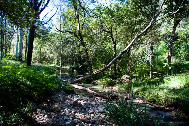 Fourth view of Homely house listing, 56 Nathanvale Drive, Mount Nathan QLD 4211
