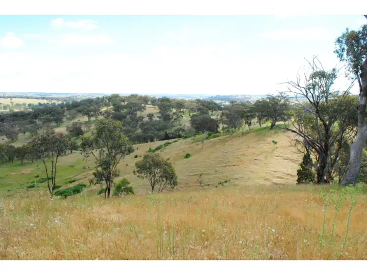 Seventh view of Homely rural property listing, 5553 Burrendong Way, Stuart Town NSW 2820