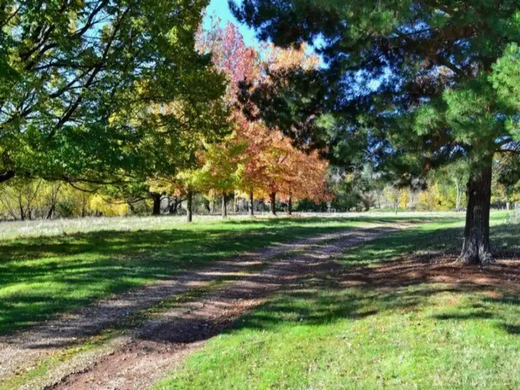 Second view of Homely rural property listing, LOT 1, 217 Desmonds Road, Mansfield VIC 3722