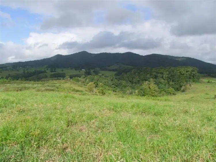 Fourth view of Homely rural property listing, F197/421 Barter Road, Millaa Millaa QLD 4886
