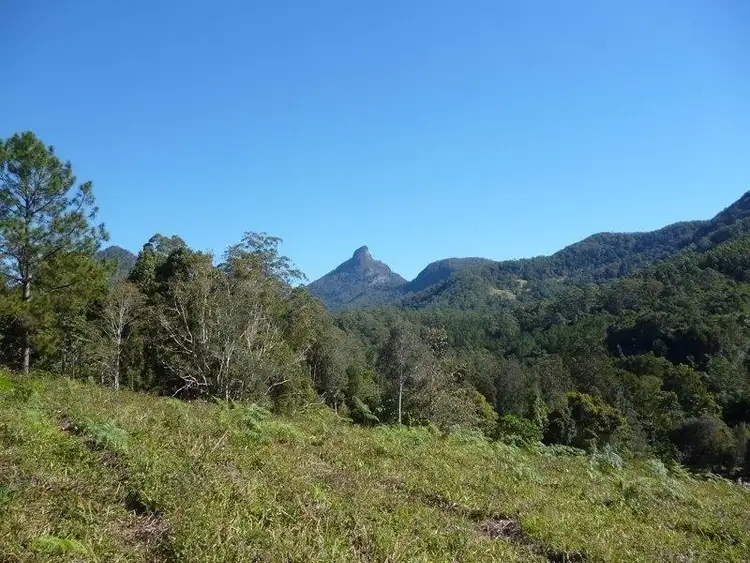 Second view of Homely rural property listing, 135 Mt Warning Road, Mount Warning NSW 2484