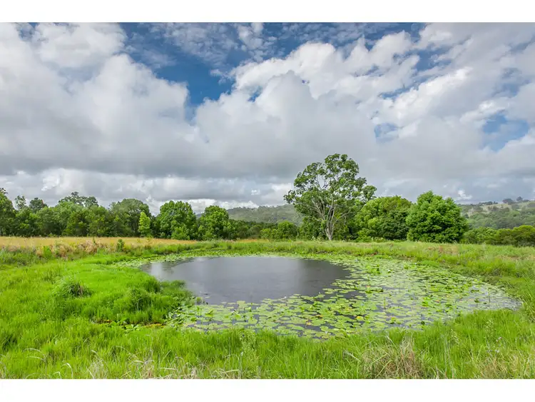 Fourth view of Homely rural property listing, 92 Henson Road, Wyrallah NSW 2480