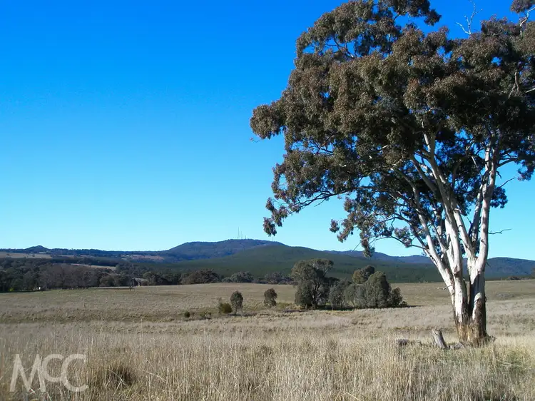 Sixth view of Homely rural property listing, 'Ferndale' 93 Caves Creek Road, Orange NSW 2800