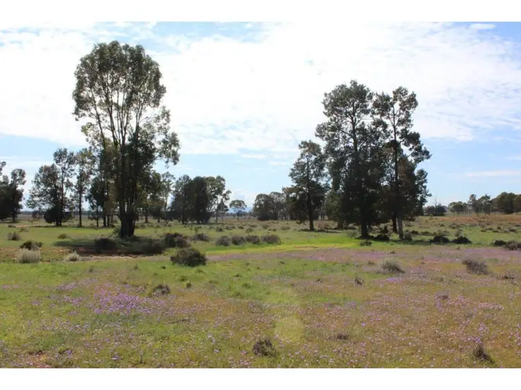 Seventh view of Homely rural property listing, 199 Quia Station Road, Emerald Hill NSW 2380