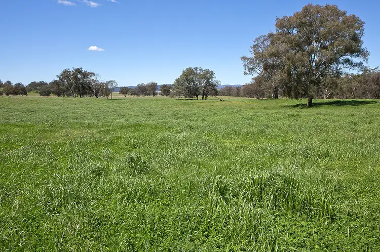 Seventh view of Homely rural property listing, 7245 Bylong Valley Way, Bylong NSW 2849