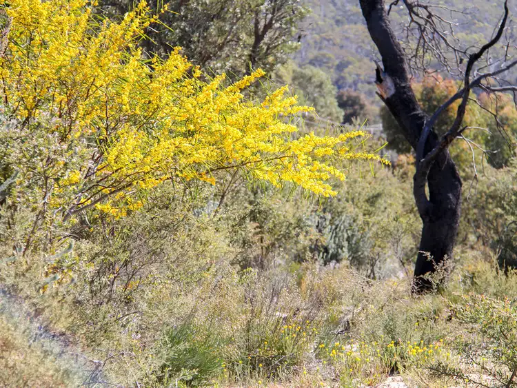 Seventh view of Homely land listing, 55 Drummondi Drive, Toodyay WA 6566