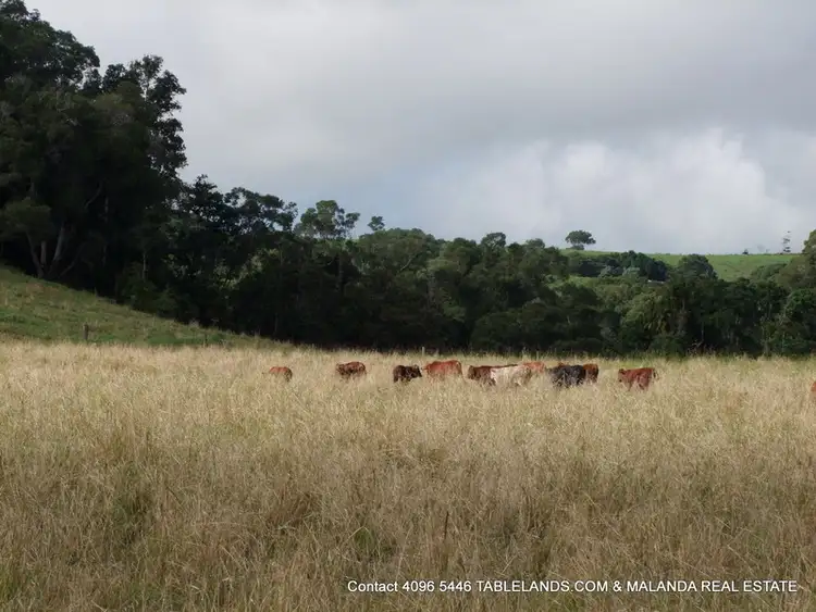 Fifth view of Homely rural property listing, F1618 411 (LOT 68) KENNY Road, Minbun QLD 4886