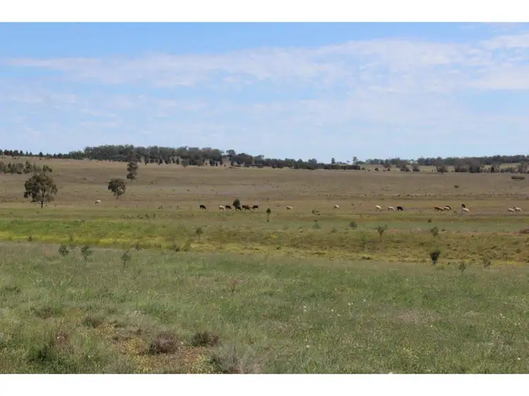 Second view of Homely rural property listing, 199 Quia Station Road, Emerald Hill NSW 2380