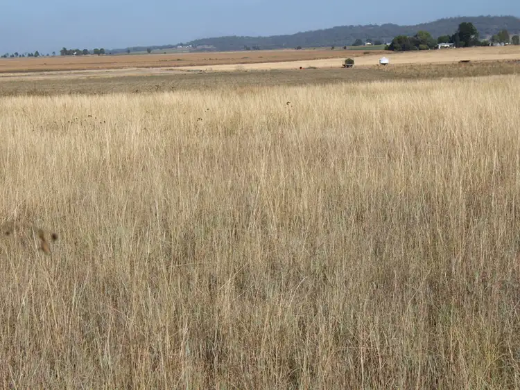 Third view of Homely land listing, 26 McGeever Street, Nobby QLD 4360