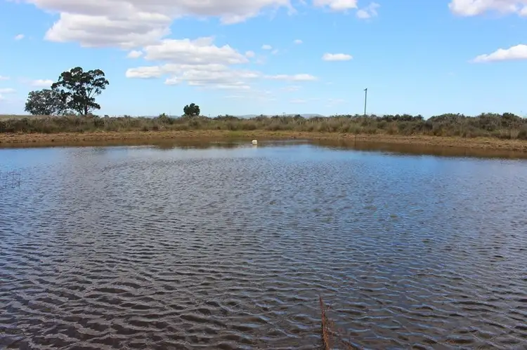 Third view of Homely rural property listing, 1506 Newell Highway, Forbes NSW 2871
