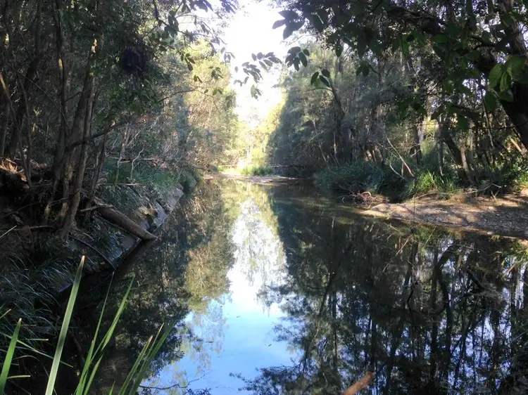 Main view of Homely rural property listing, 54 Pappinbarra Road Right Arm, Upper Pappinbarra NSW 2446