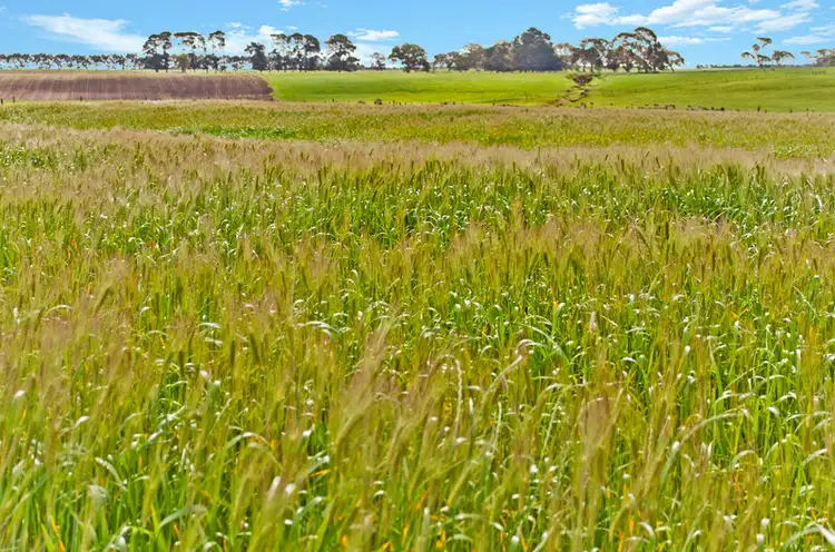 Fifth view of Homely rural property listing, 1 West Reeds Road, Yulecart VIC 3301