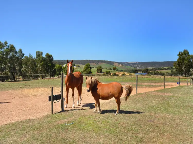 111 Alawoona Circle, Bullsbrook WA 6084