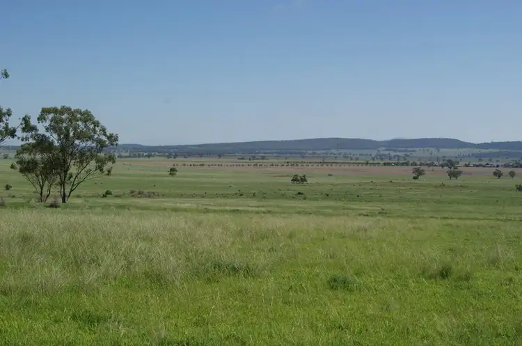 501 Preston Rd, Gunnedah NSW 2380