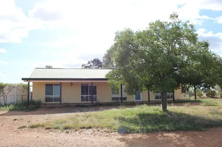 Fifth view of Homely rural property listing, 1506 Newell Highway, Forbes NSW 2871