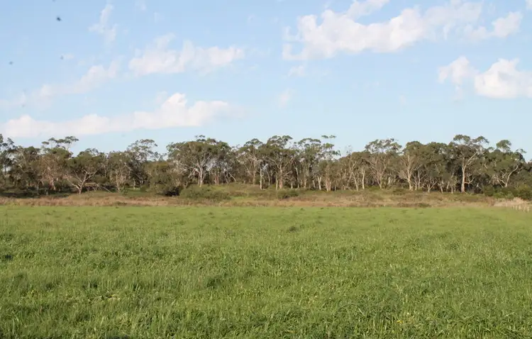 Woods Road, Carpendeit VIC 3260