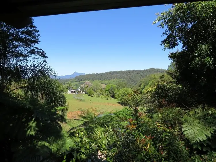 Sixth view of Homely rural property listing, 649 Tomewin Road, Tomewin NSW 2484