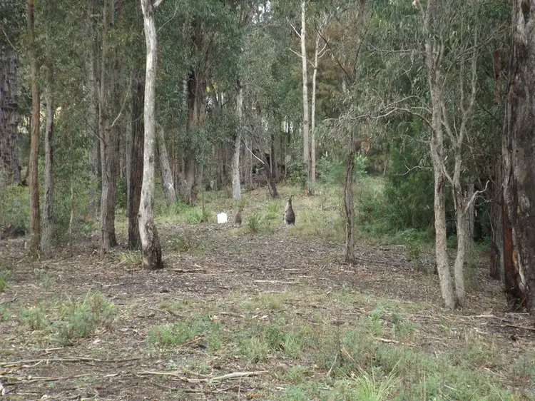 LOT 41 Bournda Park Way, Wallagoot NSW 2550