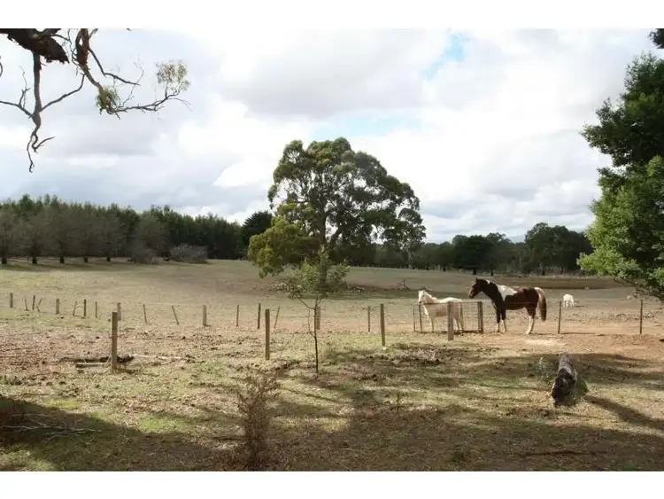 Seventh view of Homely rural property listing, 154 Carters Road, Mooralla VIC 3314