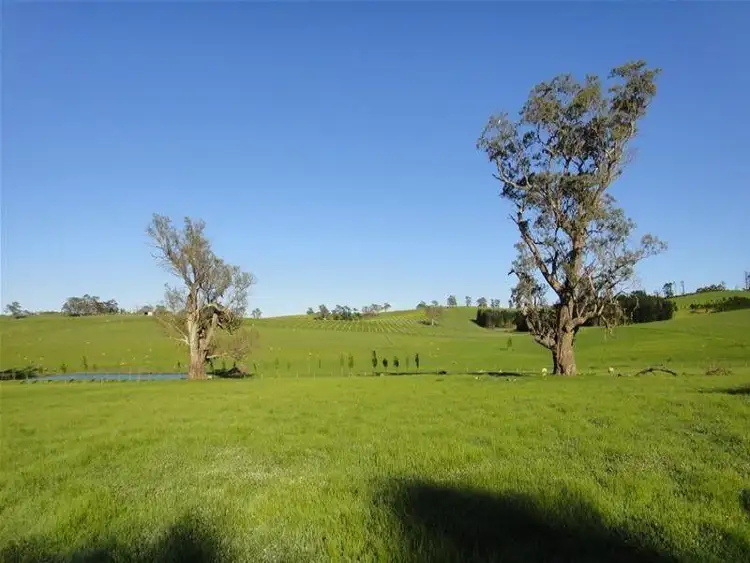 Fourth view of Homely land listing, Lot 142 Watts Gully Road, Forreston SA 5233