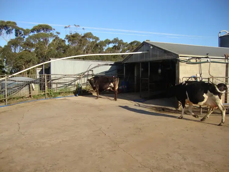 Sixth view of Homely rural property listing, 470A Cobden - Warrnambool Road, Cobden VIC 3266