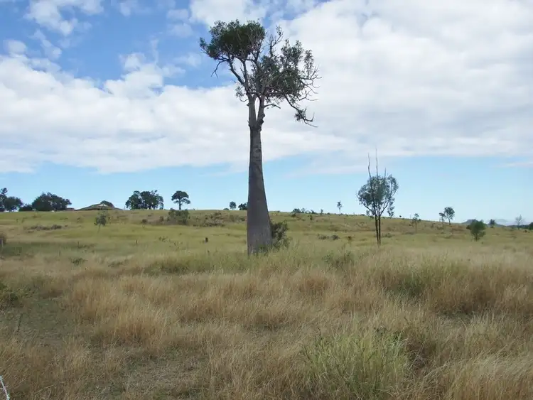 Fourth view of Homely rural property listing, 3789 Capricorn Highway, Westwood QLD 4702