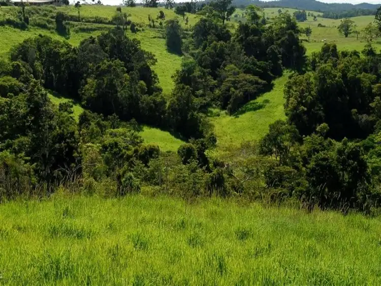 LS236/Lot 1 Theresa Creek Road, Millaa Millaa QLD 4886