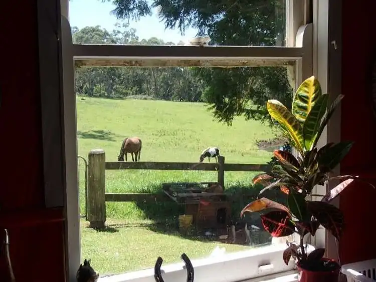 Fifth view of Homely rural property listing, 172A Pointer Road, Yatte Yattah NSW 2539