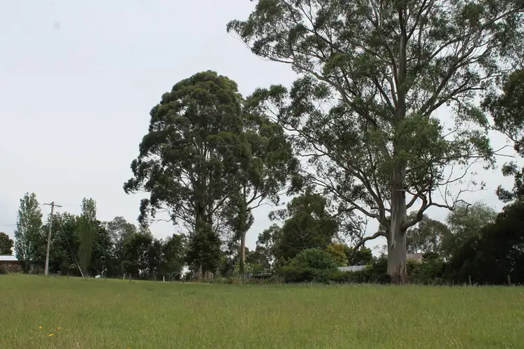 Sixth view of Homely rural property listing, 18 Frizon Street, Forrest VIC 3236