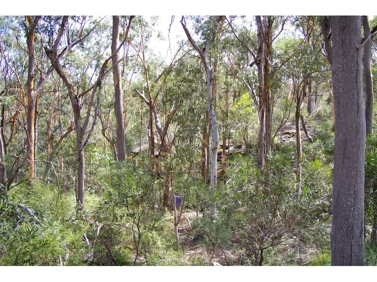 Fifth view of Homely rural property listing, 7/1640 Joadja Road, Joadja NSW 2575