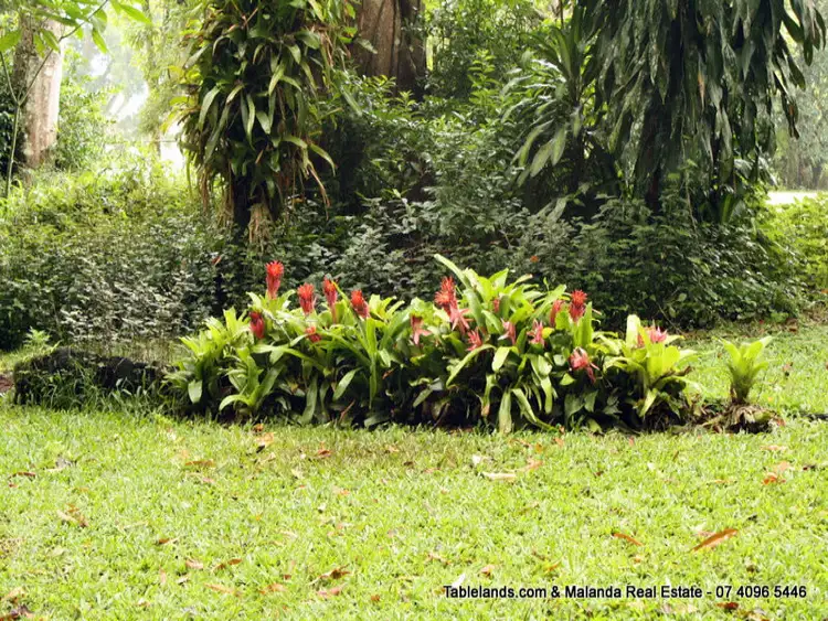 Third view of Homely land listing, LOT L1054/4 Monash Avenue, Malanda QLD 4885