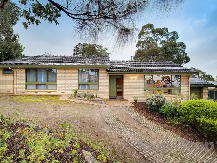 3 Caroline Avenue, Belair SA 5052