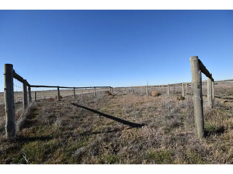 Seventh view of Homely rural property listing, 534 Reedy Creek Road, Murray Bridge SA 5253