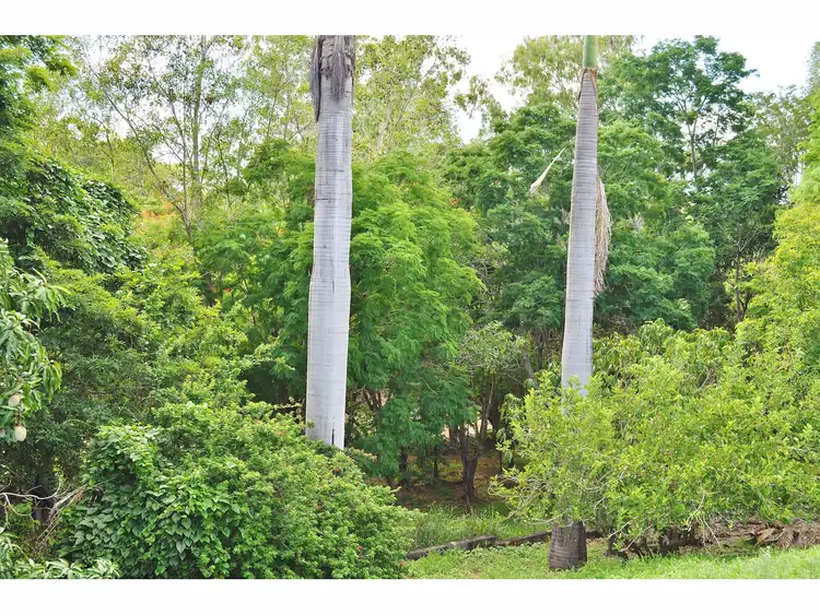 Fifth view of Homely house listing, 11 Riverview Close, Mareeba QLD 4880