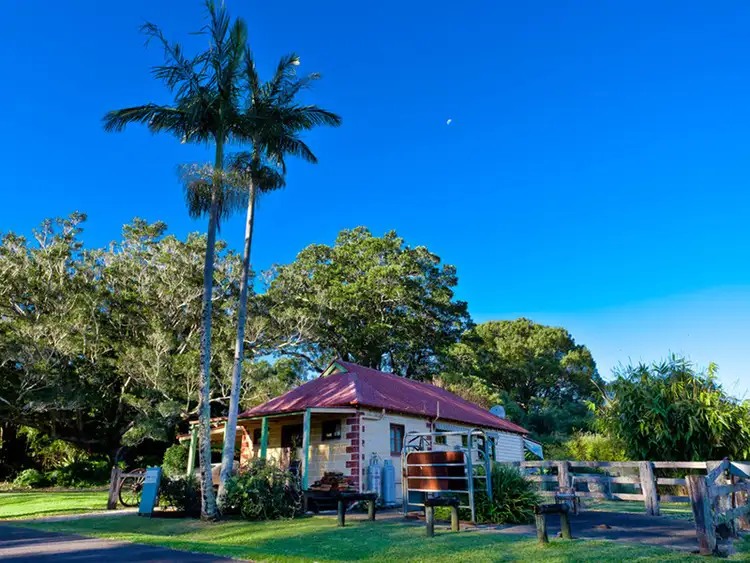 Sixth view of Homely house listing, 809 Coolamon Scenic Drive, Coorabell NSW 2479