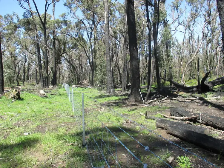 Sixth view of Homely rural property listing, LOT 3 Youngs Road, Baynton VIC 3444