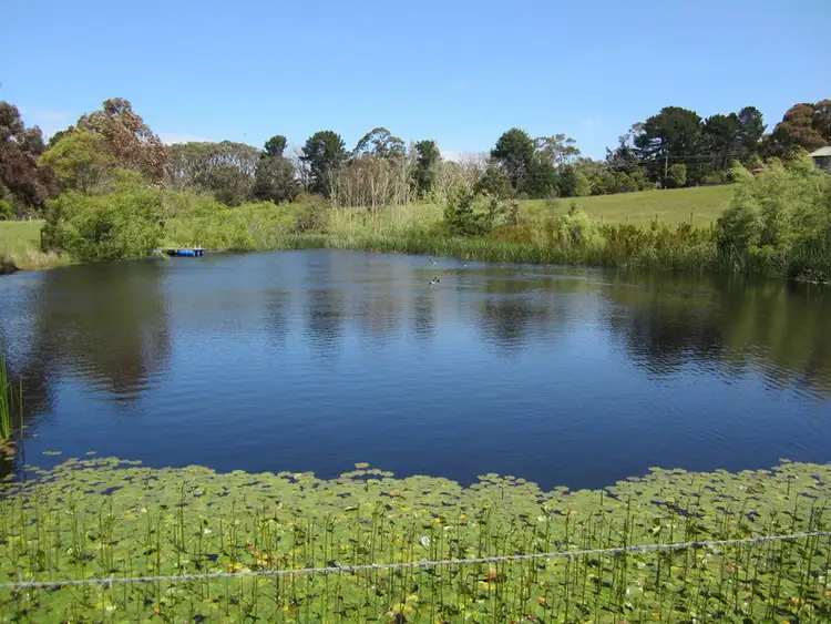 Main view of Homely rural property listing, 11 MacPhersons Lane, Main Ridge VIC 3928