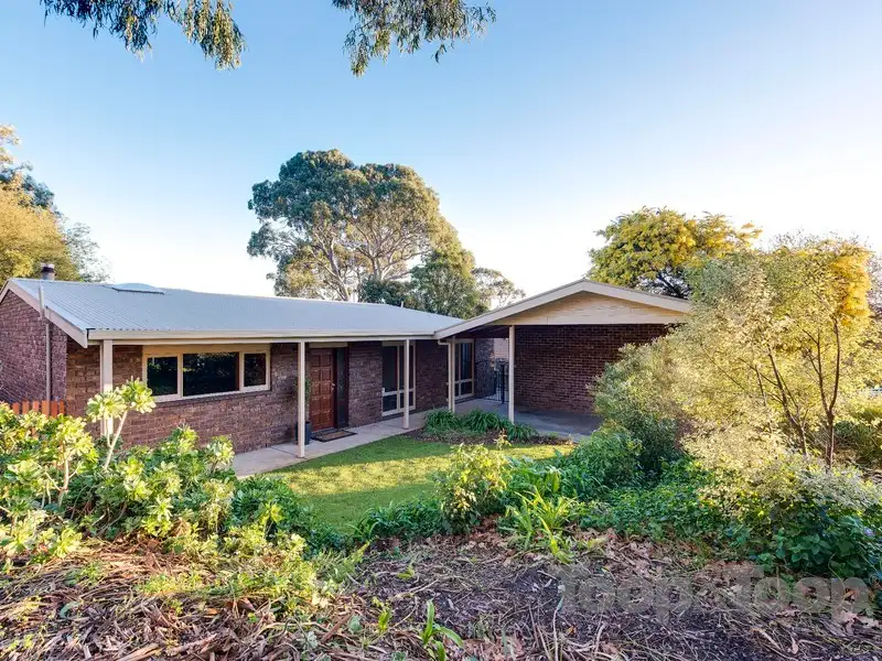 Main view of Homely house listing, 14 Nicolle Drive, Coromandel Valley SA 5051