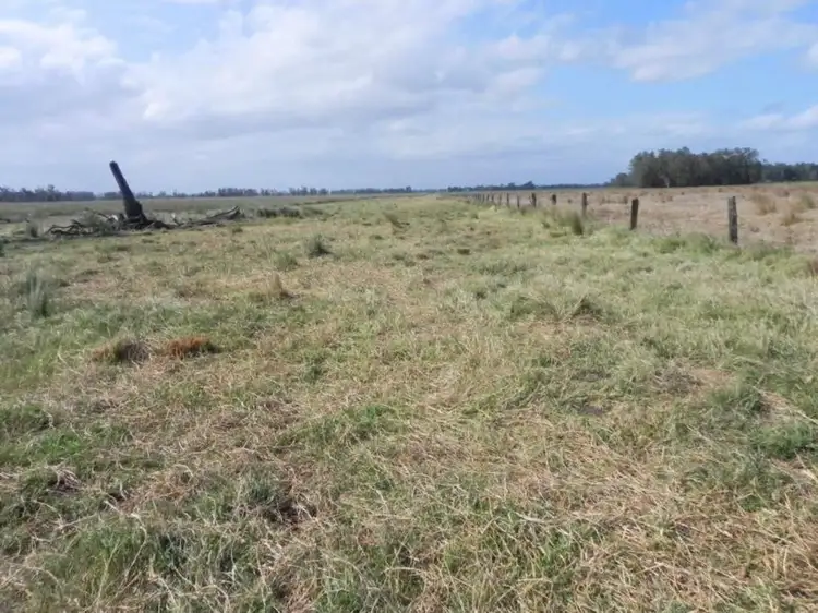 Fourth view of Homely rural property listing, 946 Lower Coldstream Road, Ulmarra NSW 2462