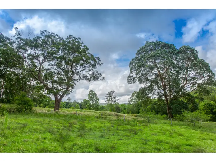 Second view of Homely rural property listing, 92 Henson Road, Wyrallah NSW 2480