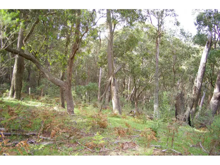Sixth view of Homely rural property listing, 244 Penrose Road, Penrose NSW 2579