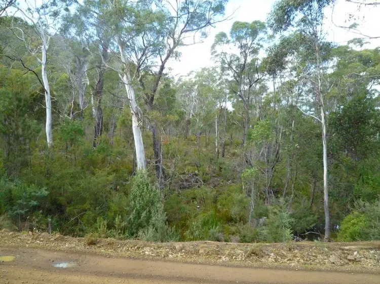 Seventh view of Homely land listing, LOT P123 Wielangta Road, Rheban TAS 7190
