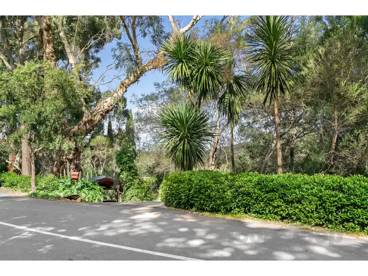 Fifth view of Homely house listing, 59 Gleneagles Road, Mount Osmond SA 5064