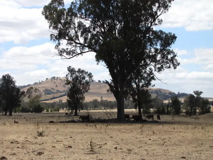 Main view of Homely rural property listing, Derrinal - Crosbie Road, Heathcote VIC 3523