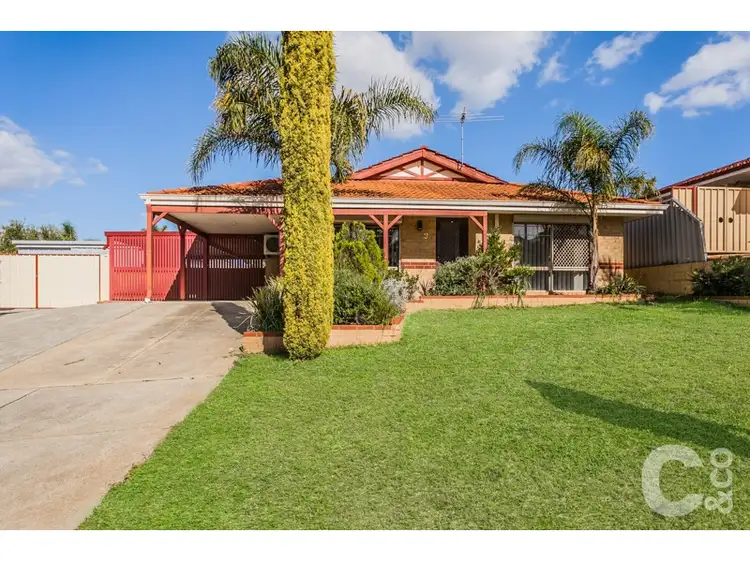 Main view of Homely house listing, 3 Northecut Rise, Parmelia WA 6167