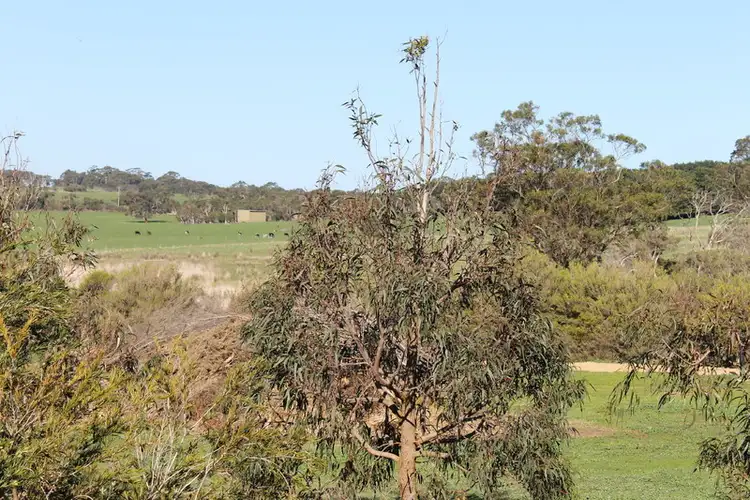 Third view of Homely villa listing, 258/2128 phillip island Road, Cowes VIC 3922