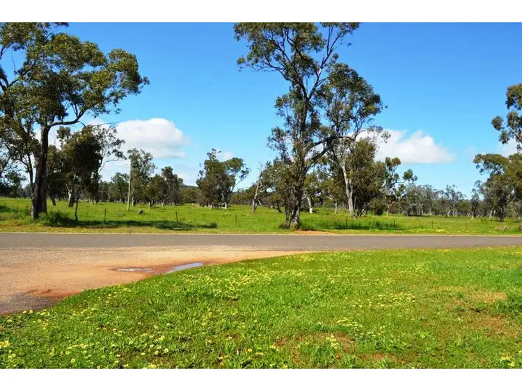 Second view of Homely land listing, 62 Cameron Street, Curlewis NSW 2381